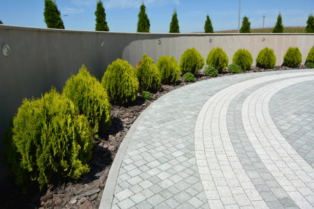 Best Interlocking Paver Driveways in Cameron, TX